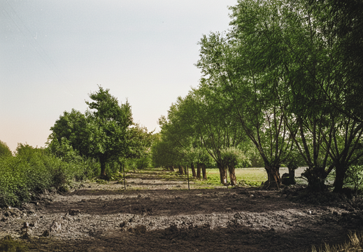 3.21.2 Swindon (344n)