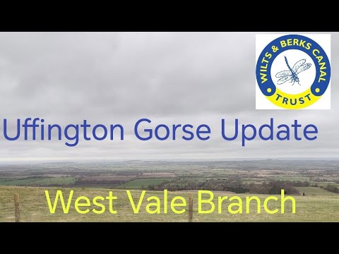 Uffington Gorse Walk Through Update. West Vale Branch