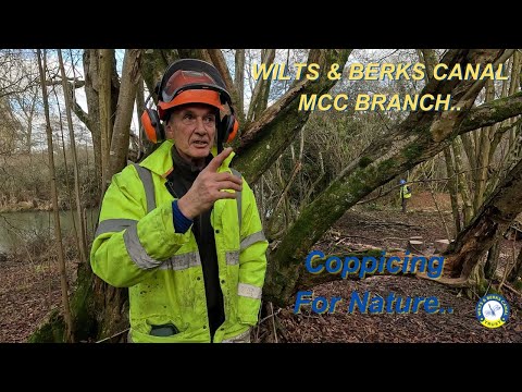 Coppicing for nature at Pewsham Locks with Howard Yardy from the Wilts & Berks Canal Trust.