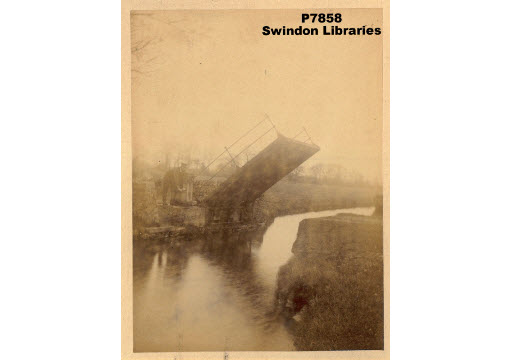 Dragonfly Journey 03a