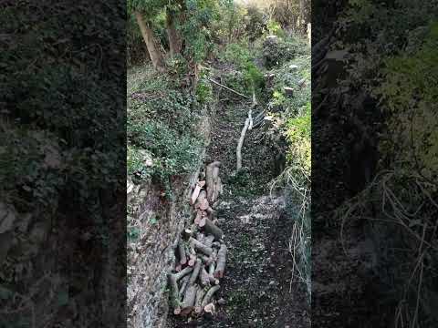 Grove Common Lock Clearance