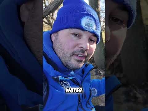 Lost Canal Gate  Amazing Survival After 130 Years! On the Wilts and Berks Canal