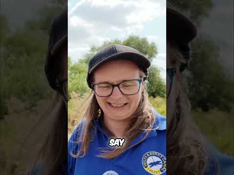 Write to Your MP Save UK Canals Now!